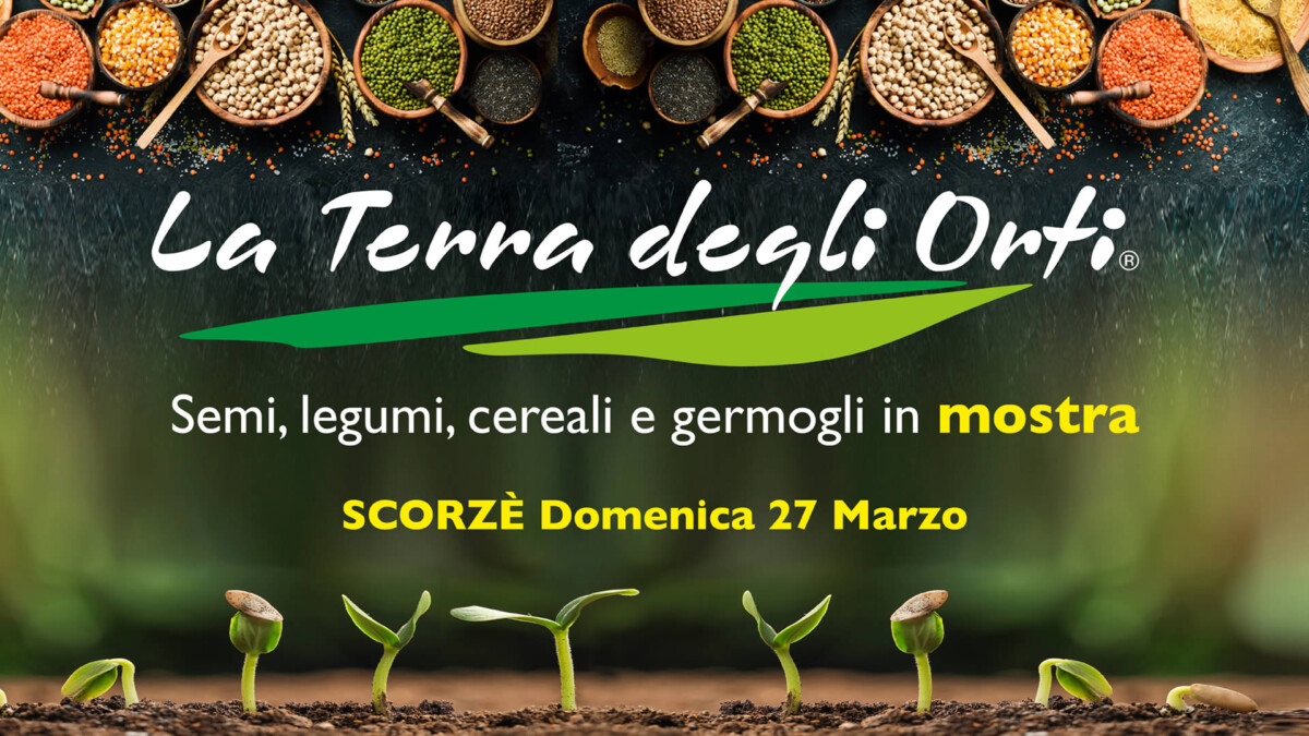 Scopri di più sull'articolo “La terra degli Orti”