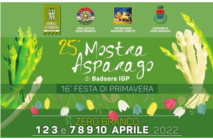 Scopri di più sull'articolo Mostra dell’Asparago di Badoere IGP e Festa di Primavera