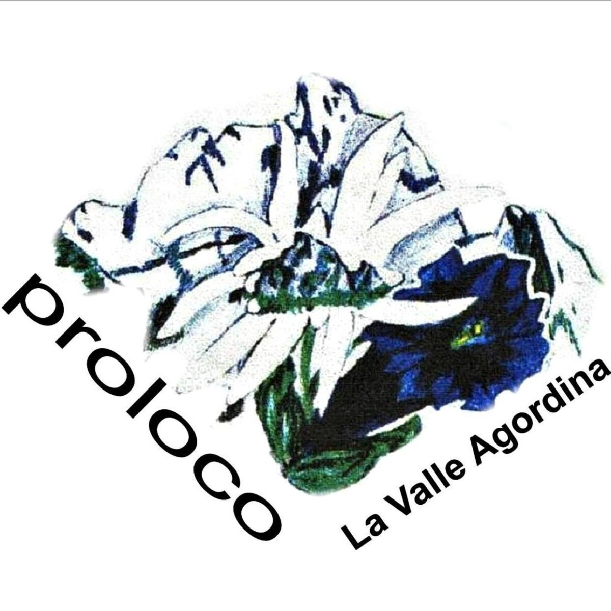 Read more about the article Pro Loco La Valle Agordina
