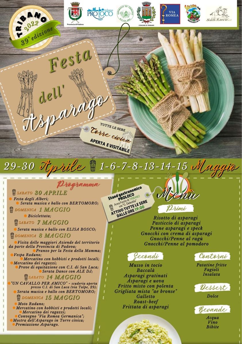 Scopri di più sull'articolo Festa dell’Asparago