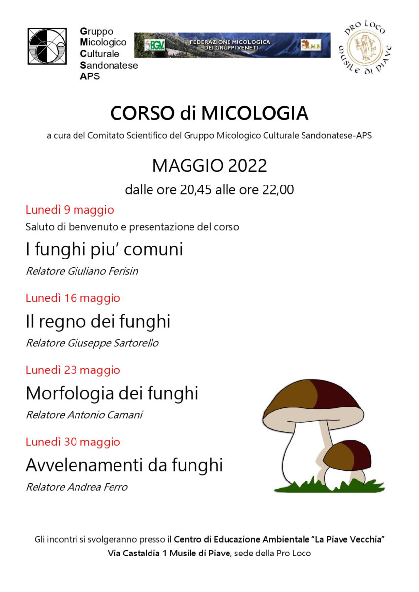 Scopri di più sull'articolo Corso di Primavera