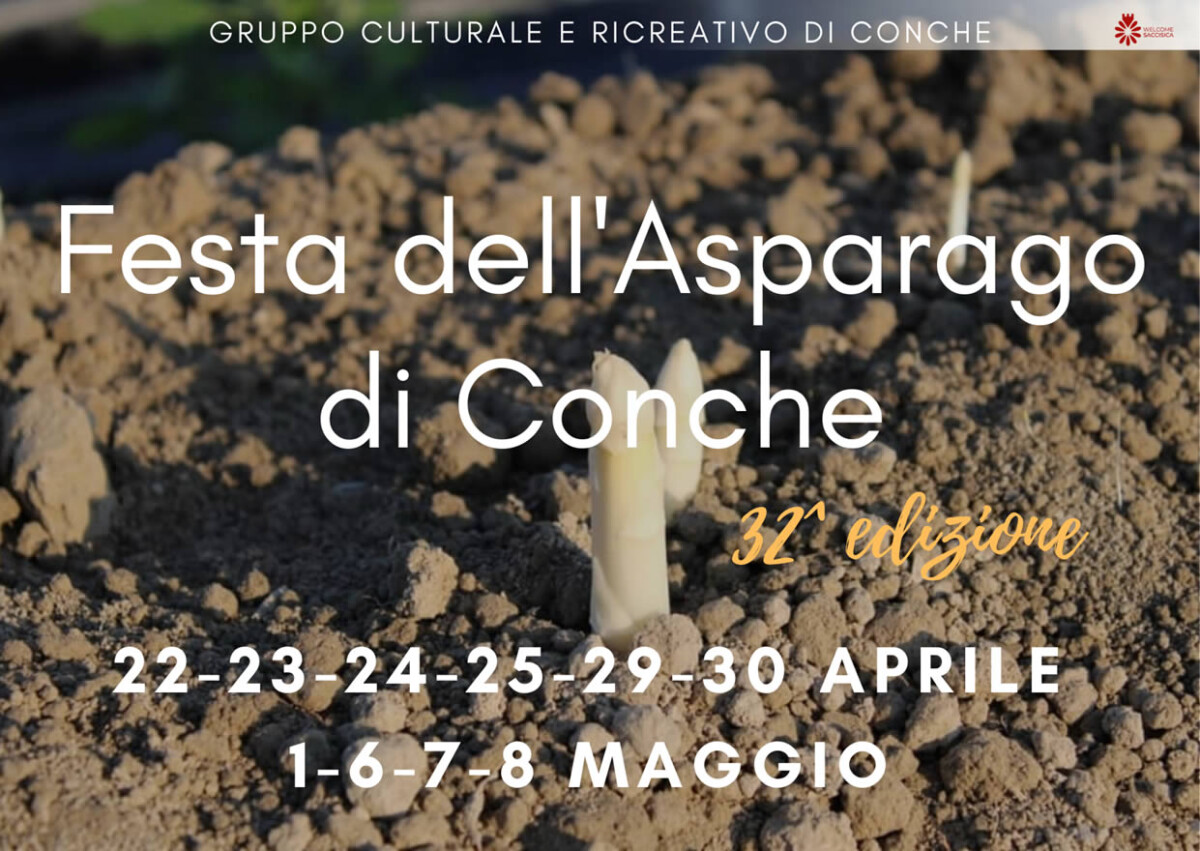 Read more about the article 32^ Festa dell’Asparago