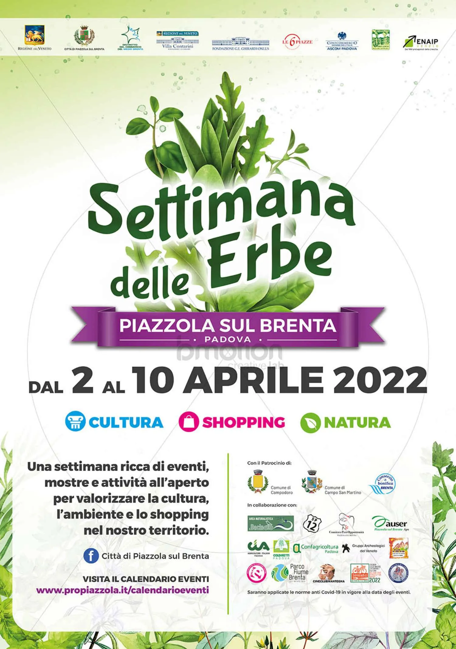Read more about the article Settimana delle erbe