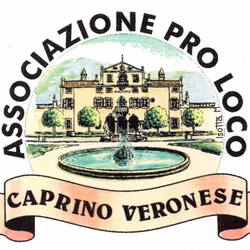 Read more about the article Pro Loco Caprino Veronese