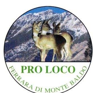 Read more about the article Pro Loco Ferrara di Monte Baldo