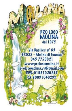 Read more about the article Pro loco Molina di Fumane