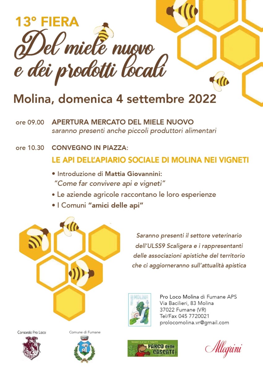 Read more about the article 13^ Fiera del Miele nuovo e dei Prodotti Locali