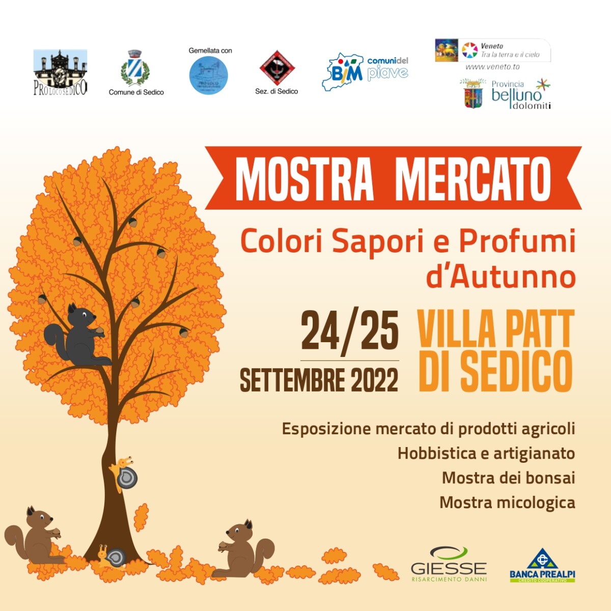 Scopri di più sull'articolo “Colori, Sapori e Profumi d’Autunno 2022”