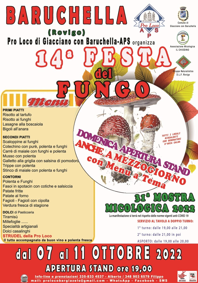 Scopri di più sull'articolo 14^ Festa del Fungo 31^ Mostra Micologica