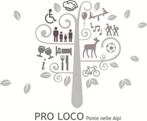 Read more about the article Pro Loco Ponte Alpi