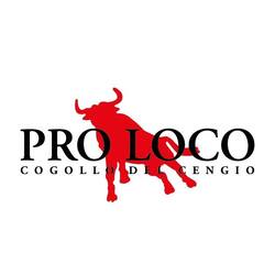 Read more about the article Pro Loco Cogollo