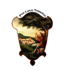 Read more about the article Pro Loco Trissino