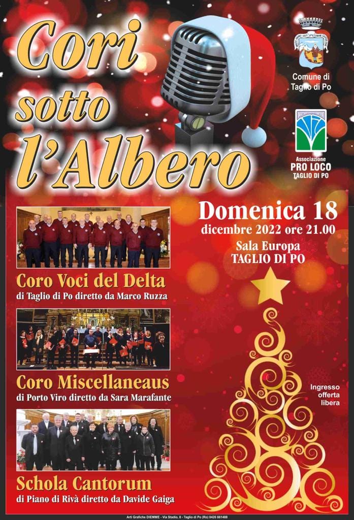 Scopri di più sull'articolo Corri sotto l’Albero