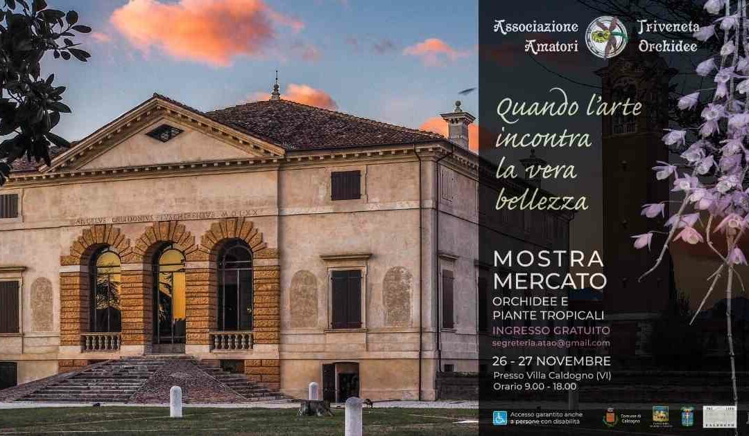 Read more about the article Mostra Mercato Orchidee e Piante Tropicali a Villa Caldogno