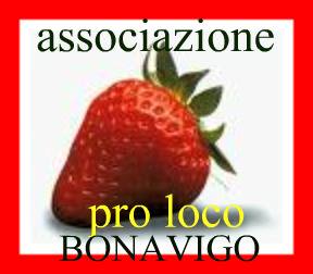 Read more about the article Pro Loco di Bonavigo