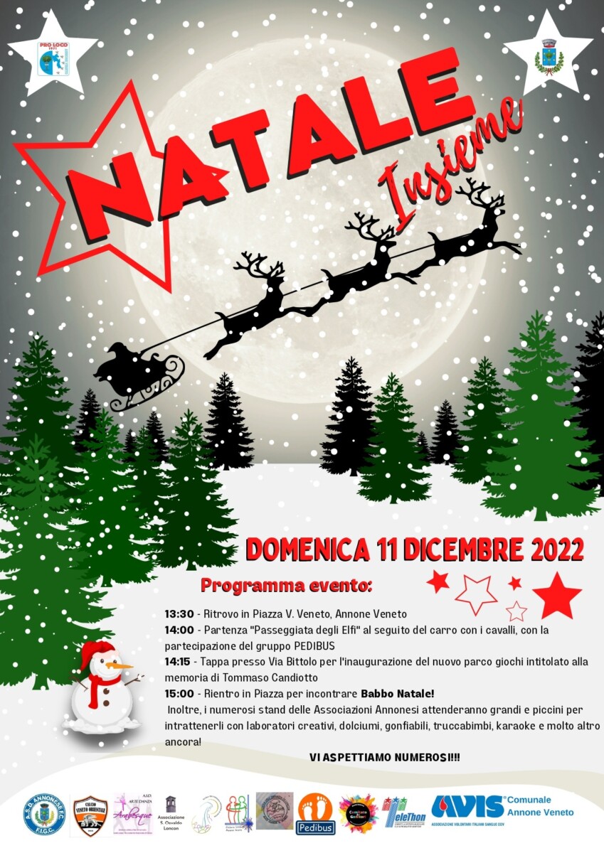Read more about the article Natale Insieme