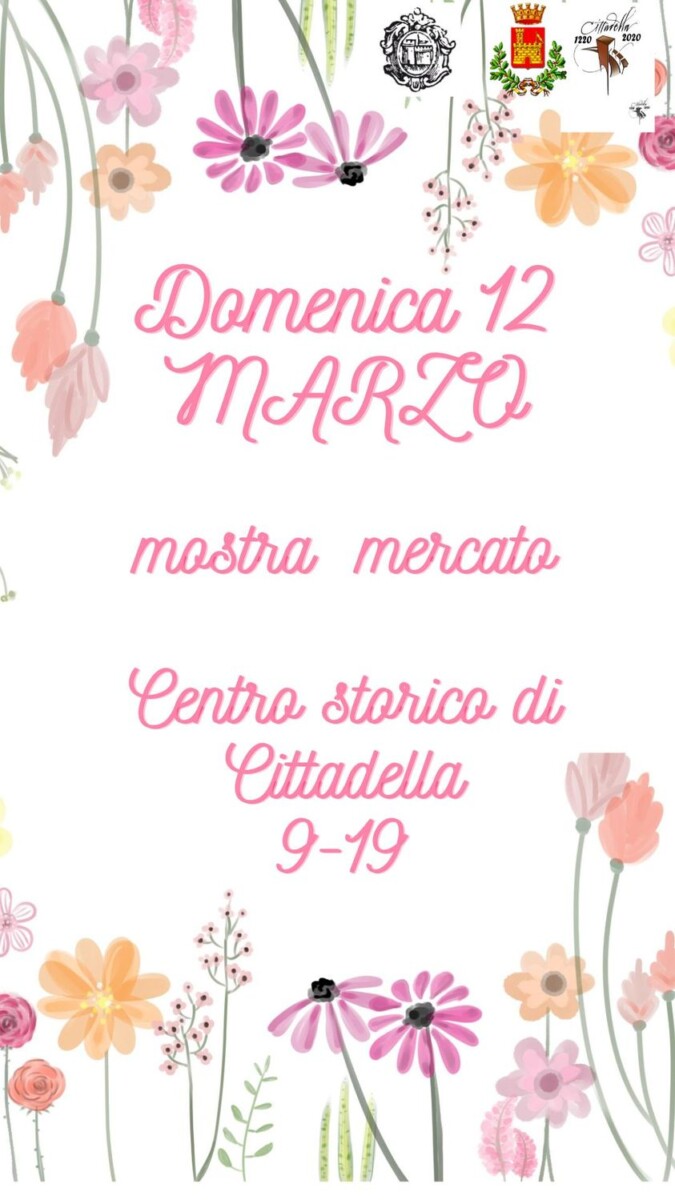 Read more about the article Mostra Mercato – Cittadella