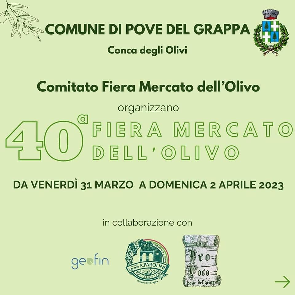 Read more about the article 40^ fiera Mercato dell’olivo