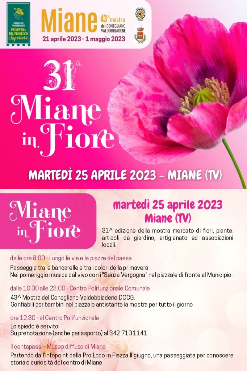 Read more about the article 31^ Miane in Fiore