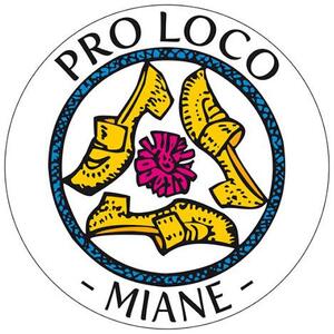 Read more about the article Pro Loco Miane APS