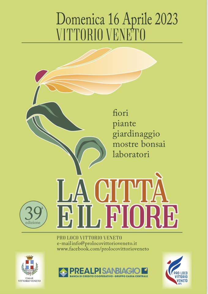 Read more about the article La città e il fiore