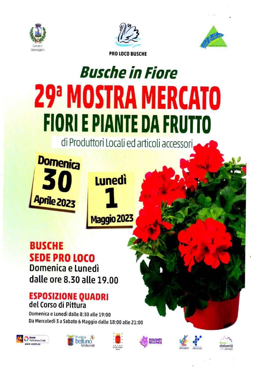 Read more about the article 29^ Mostra Mercato – Busche in Fiore
