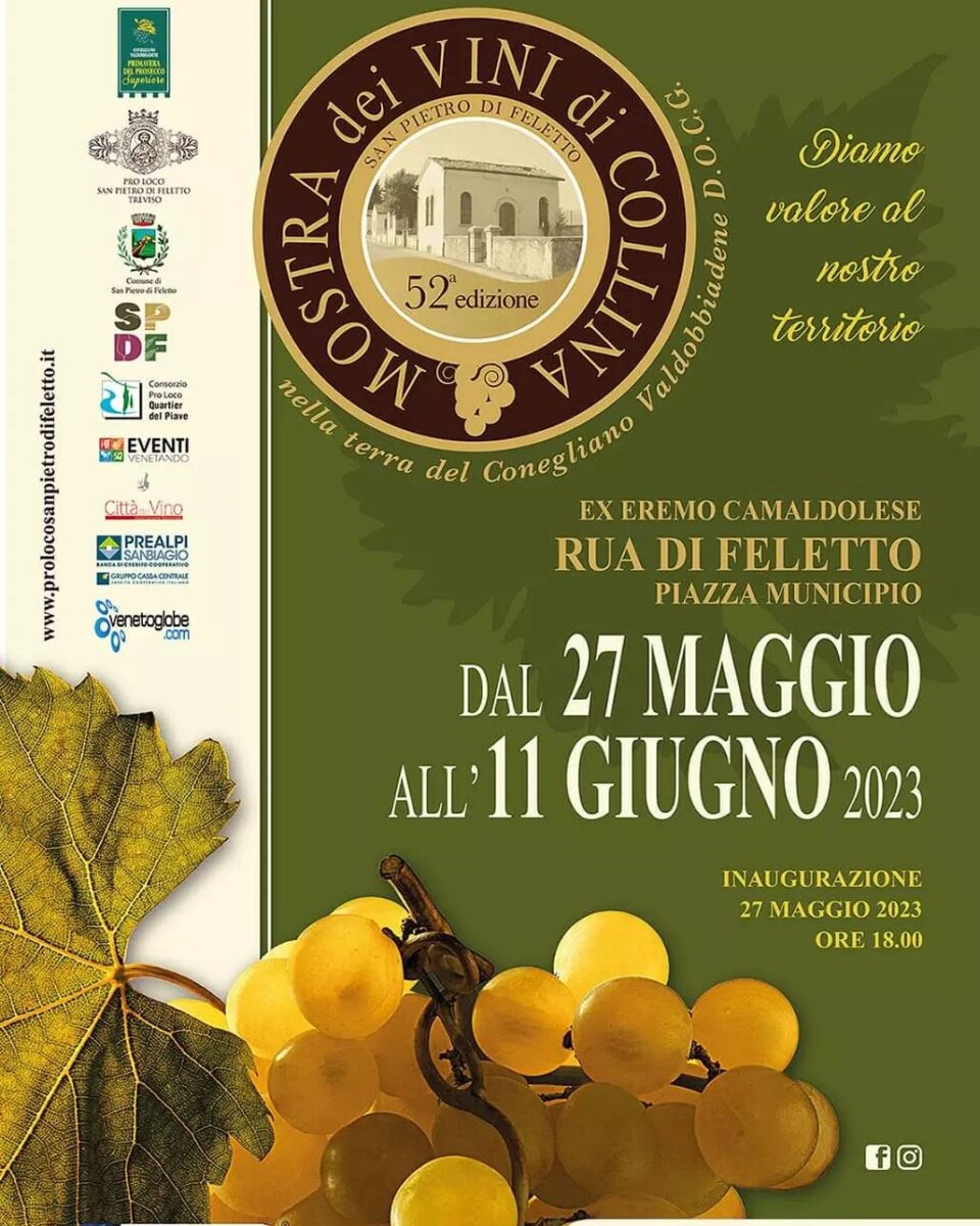 Scopri di più sull'articolo Mostra dei Vini di Collina 52^Edizione