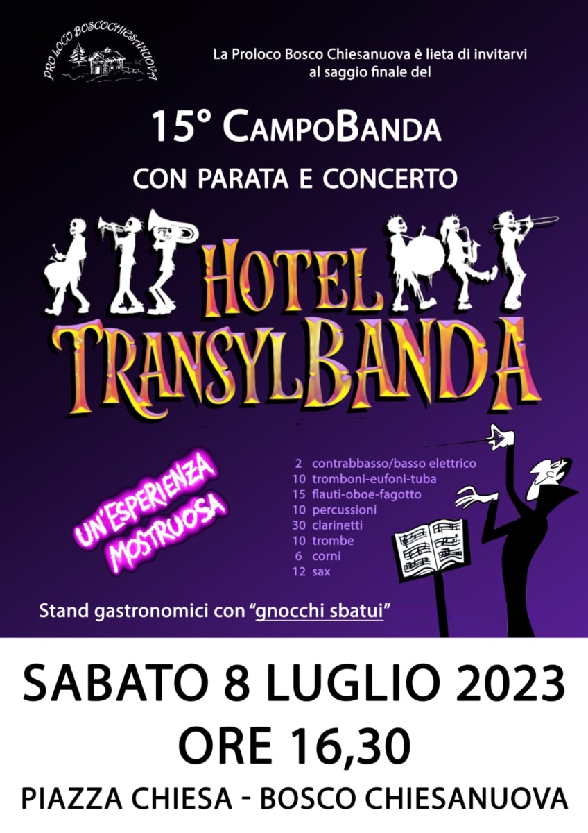 Scopri di più sull'articolo 15° Campobanda con Parata e Concerto