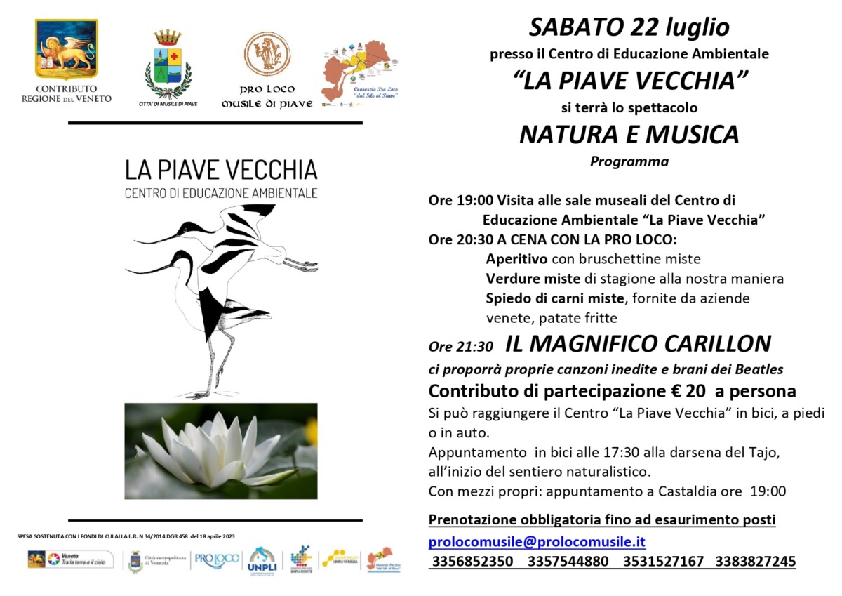 Scopri di più sull'articolo Natura e Musica