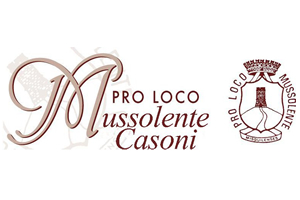 Read more about the article Pro Loco Mussolente