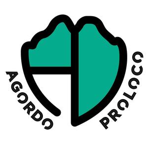 Read more about the article AD Agordo Pro Loco