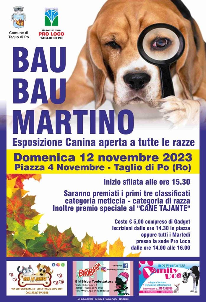 Read more about the article Bau Bau Martino