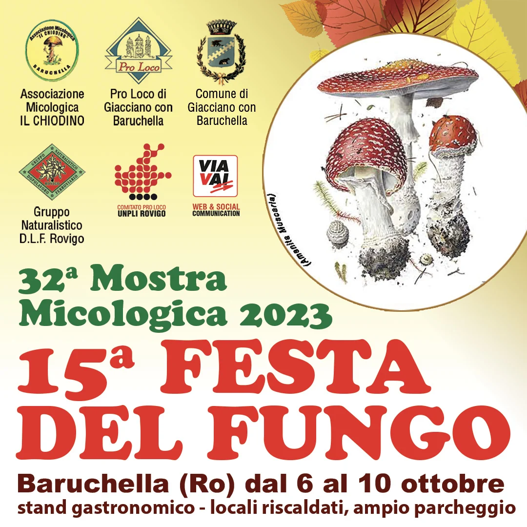 Read more about the article 15^ Festa del Fungo – 32 Mostra micologica