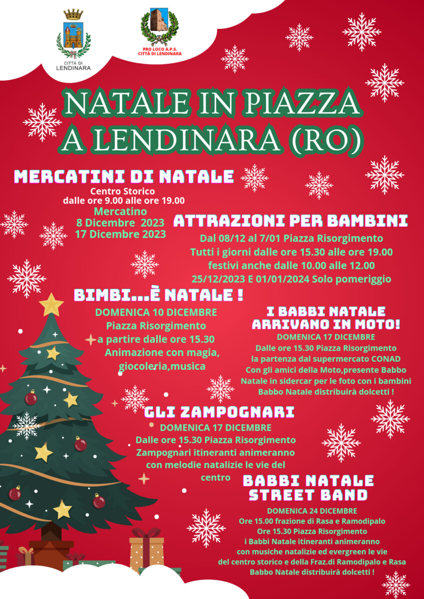 Read more about the article Natale in Piazza aLendinara