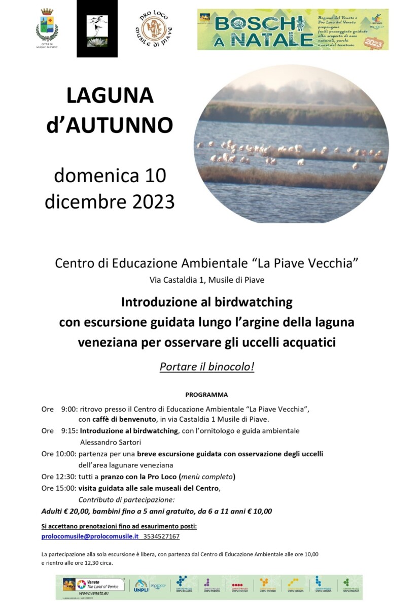 Scopri di più sull'articolo Laguna Nord di Venezia Patrimonio Unesco