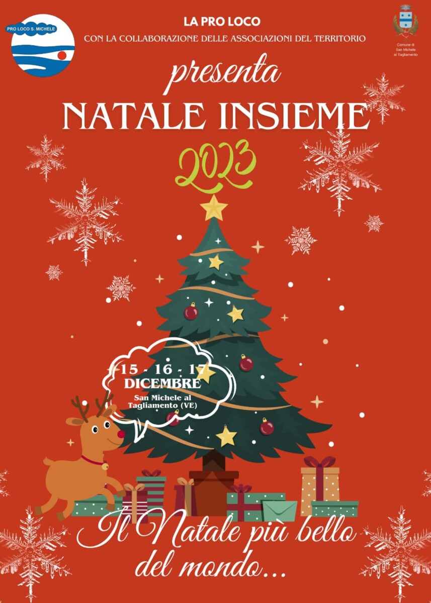 Scopri di più sull'articolo Natale Insieme