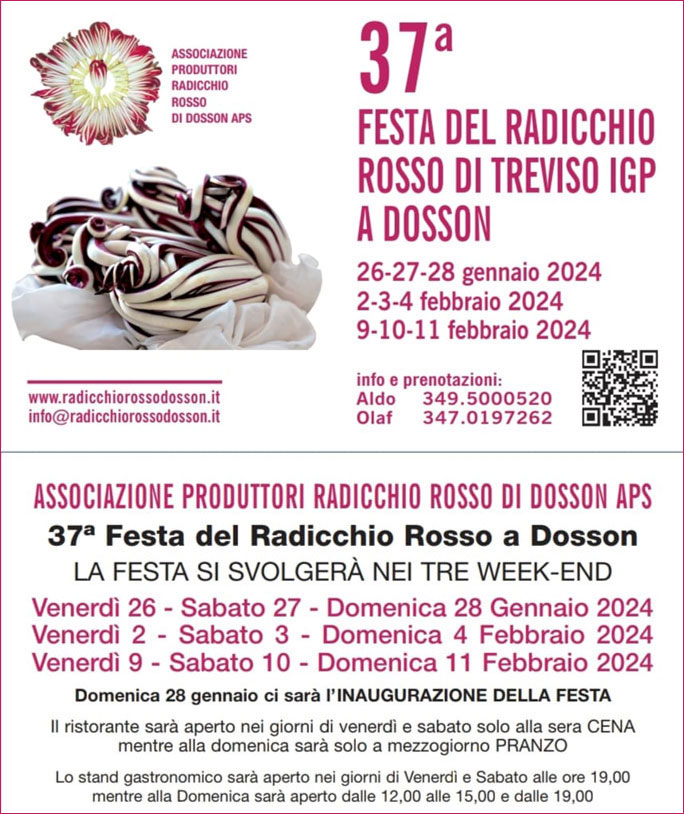 Scopri di più sull'articolo 37^ Festa del Radicchio Rosso di Treviso igp