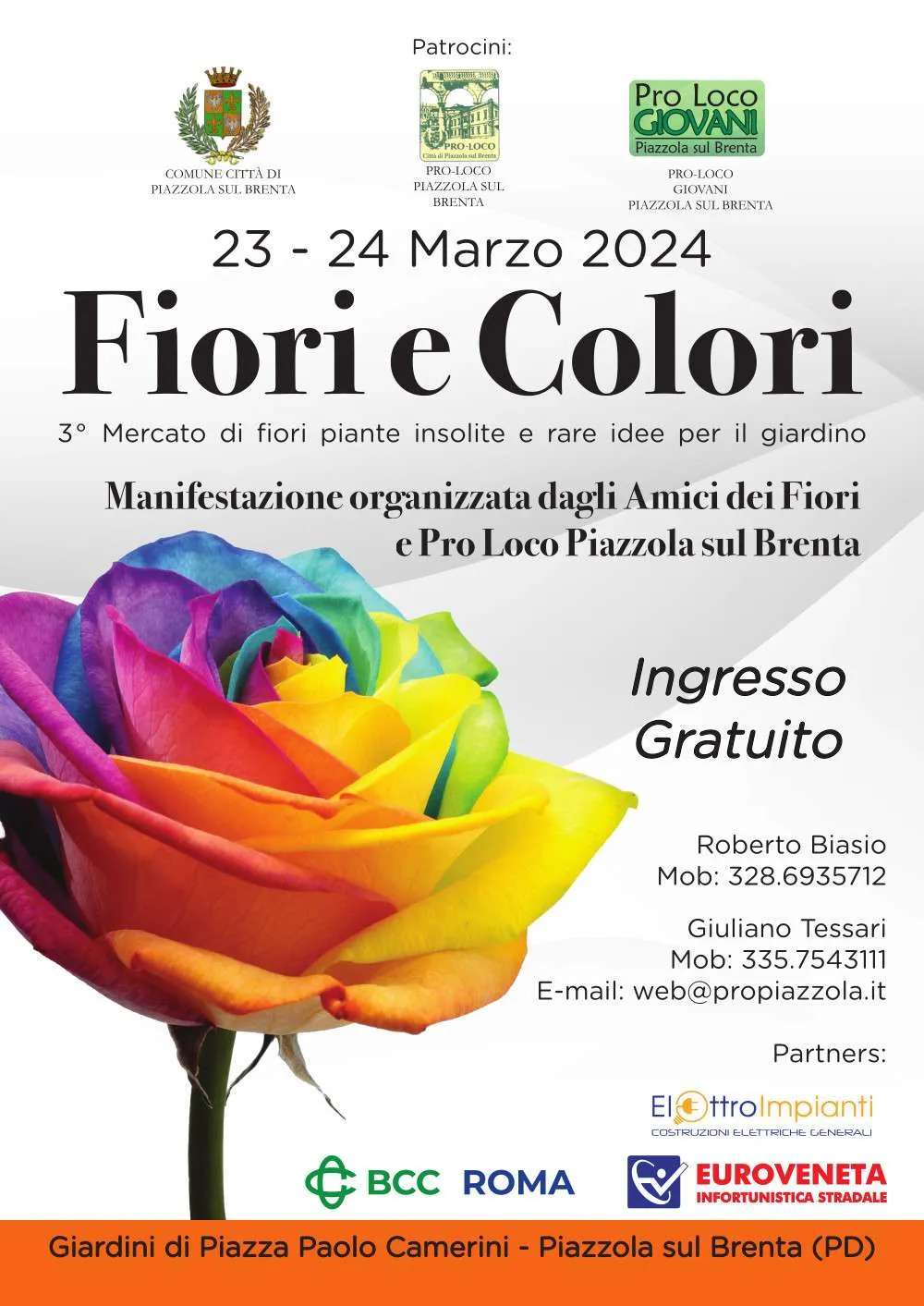 Read more about the article Fiori e Colori