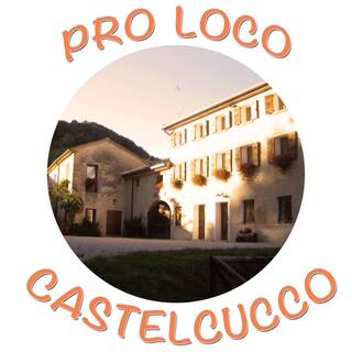Read more about the article Pro Loco di Castelcucco