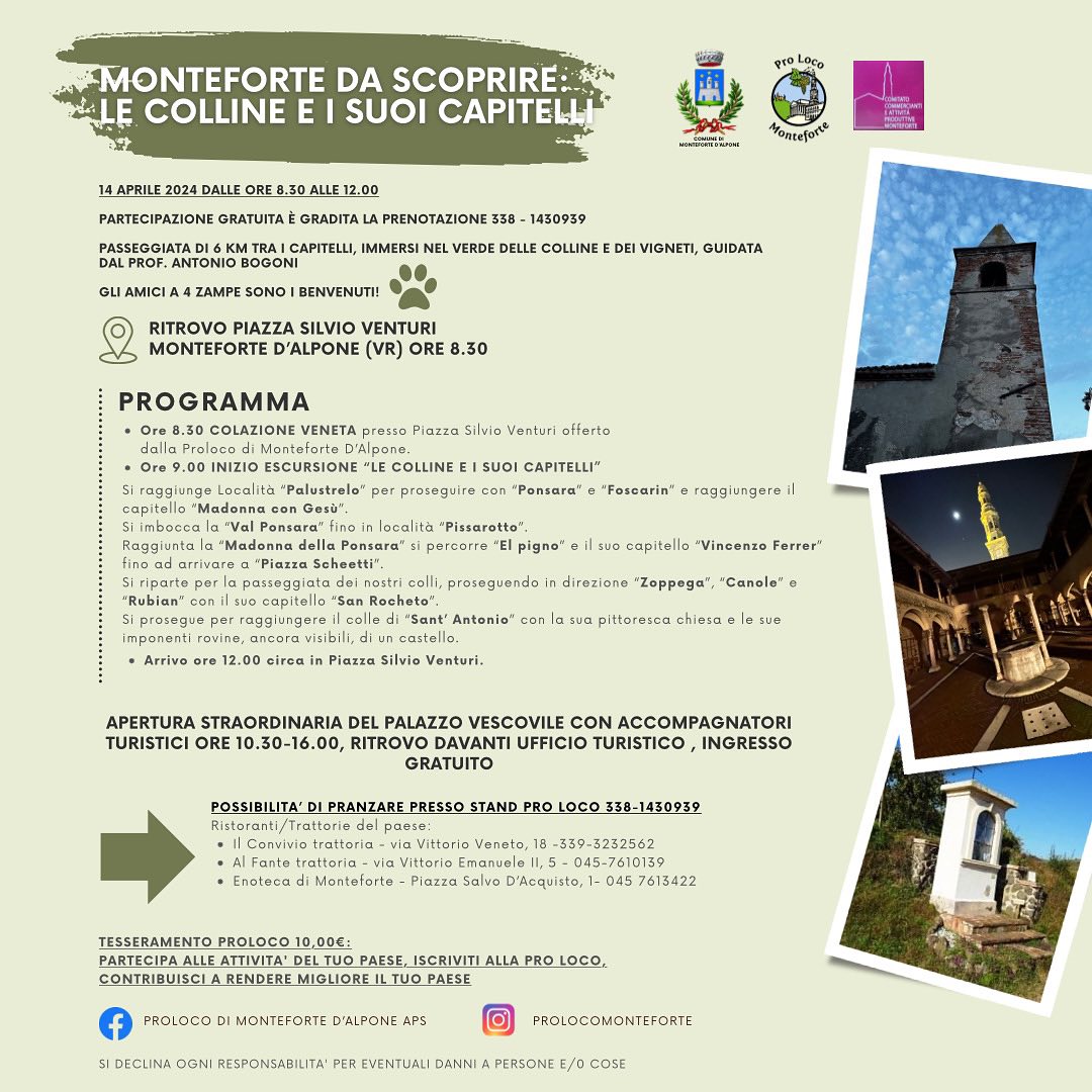 Scopri di più sull'articolo Monteforte da scoprire