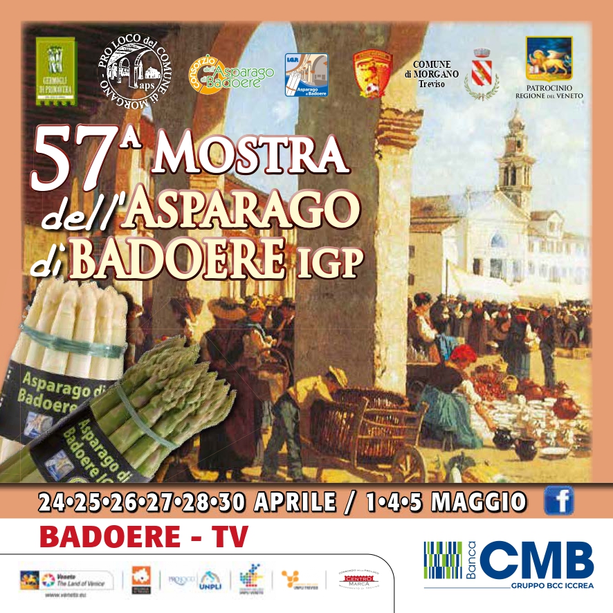 Read more about the article Mostra dell’Asparago di Badoere Igp
