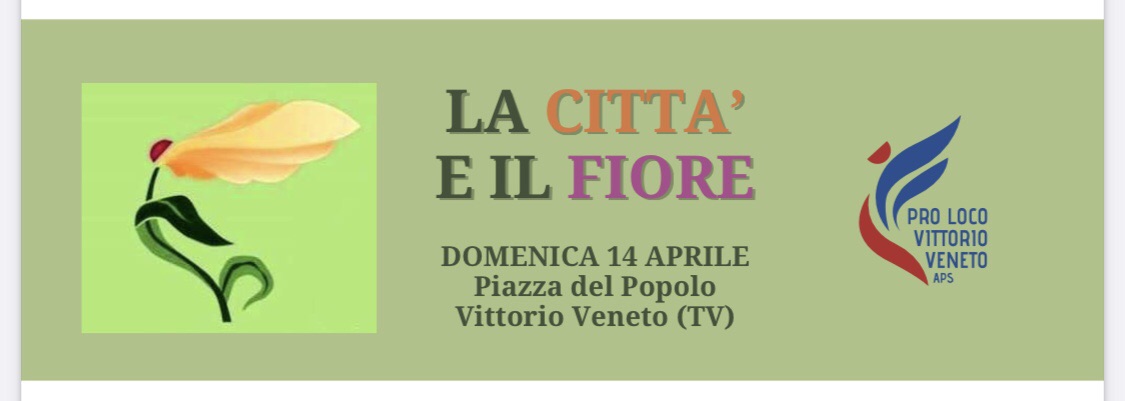 Scopri di più sull'articolo La città e il fiore