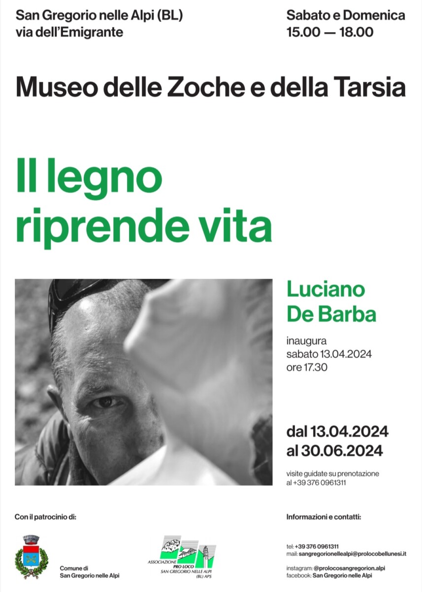 Read more about the article Riapertura del Museo delle Zoche