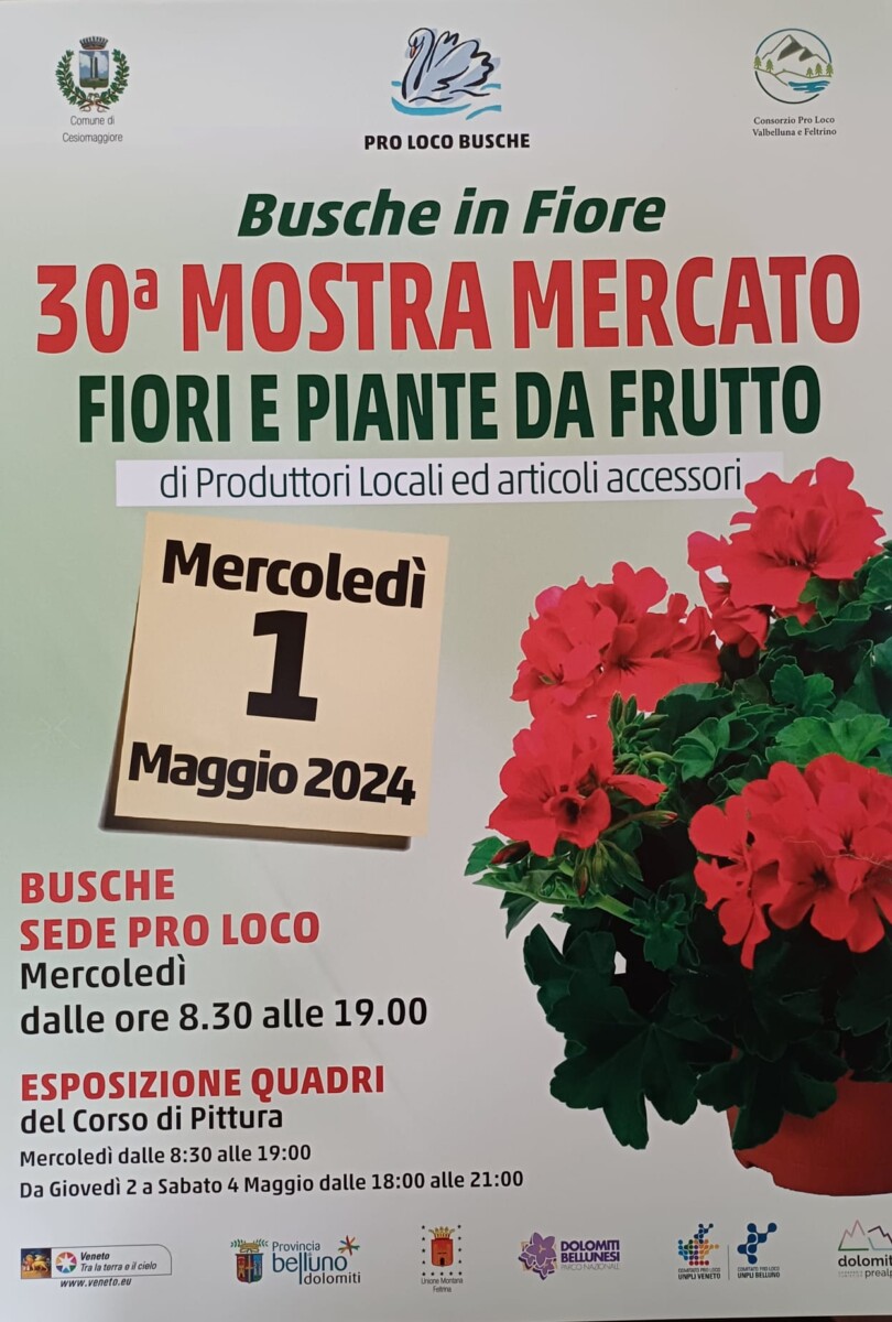 Scopri di più sull'articolo 30^ Mostra Mercato