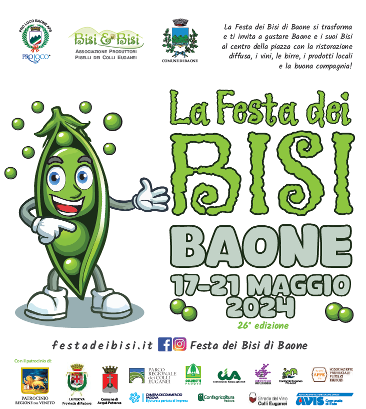 Scopri di più sull'articolo La Festa dei Bisi