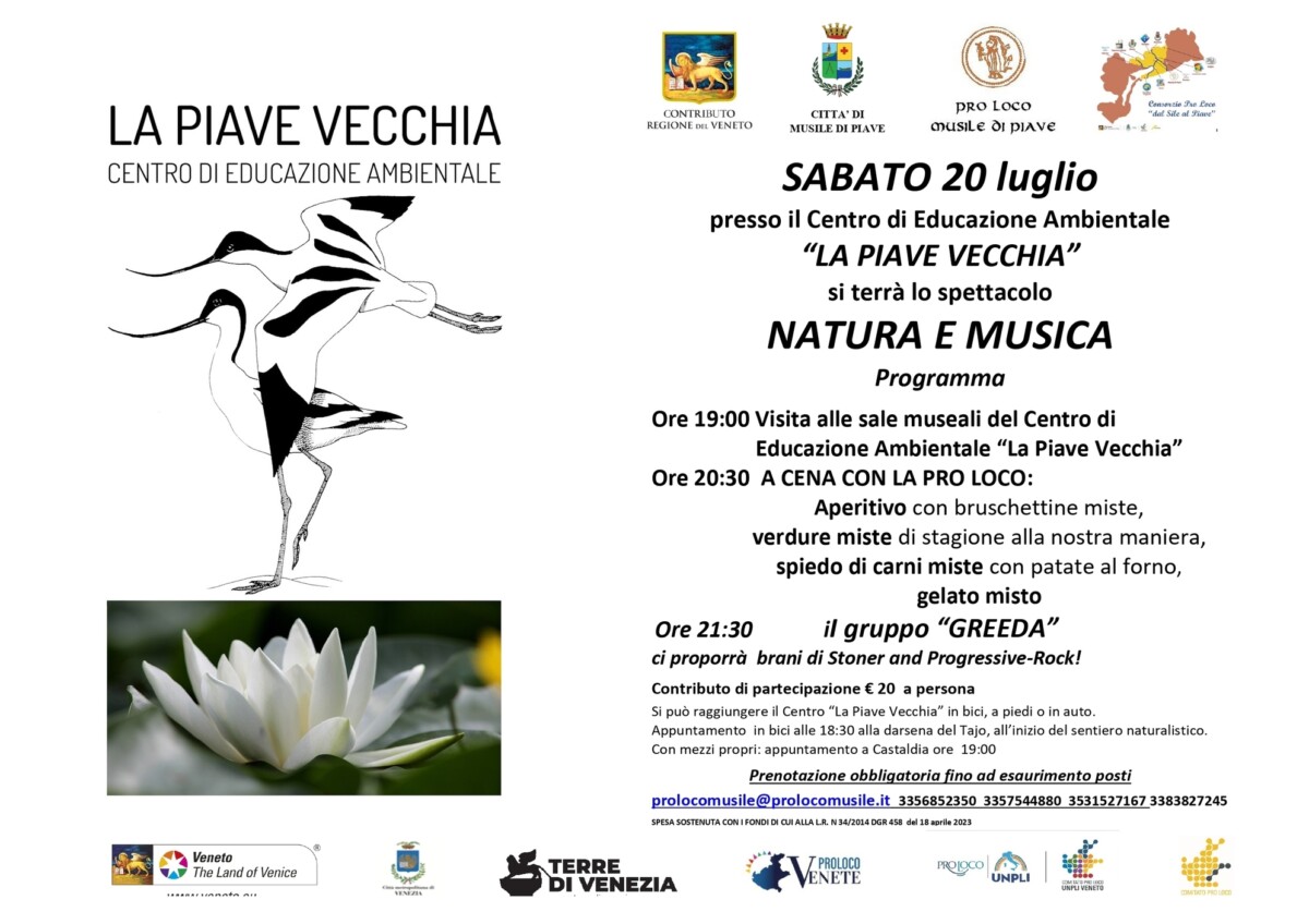 Scopri di più sull'articolo Natura e Musica