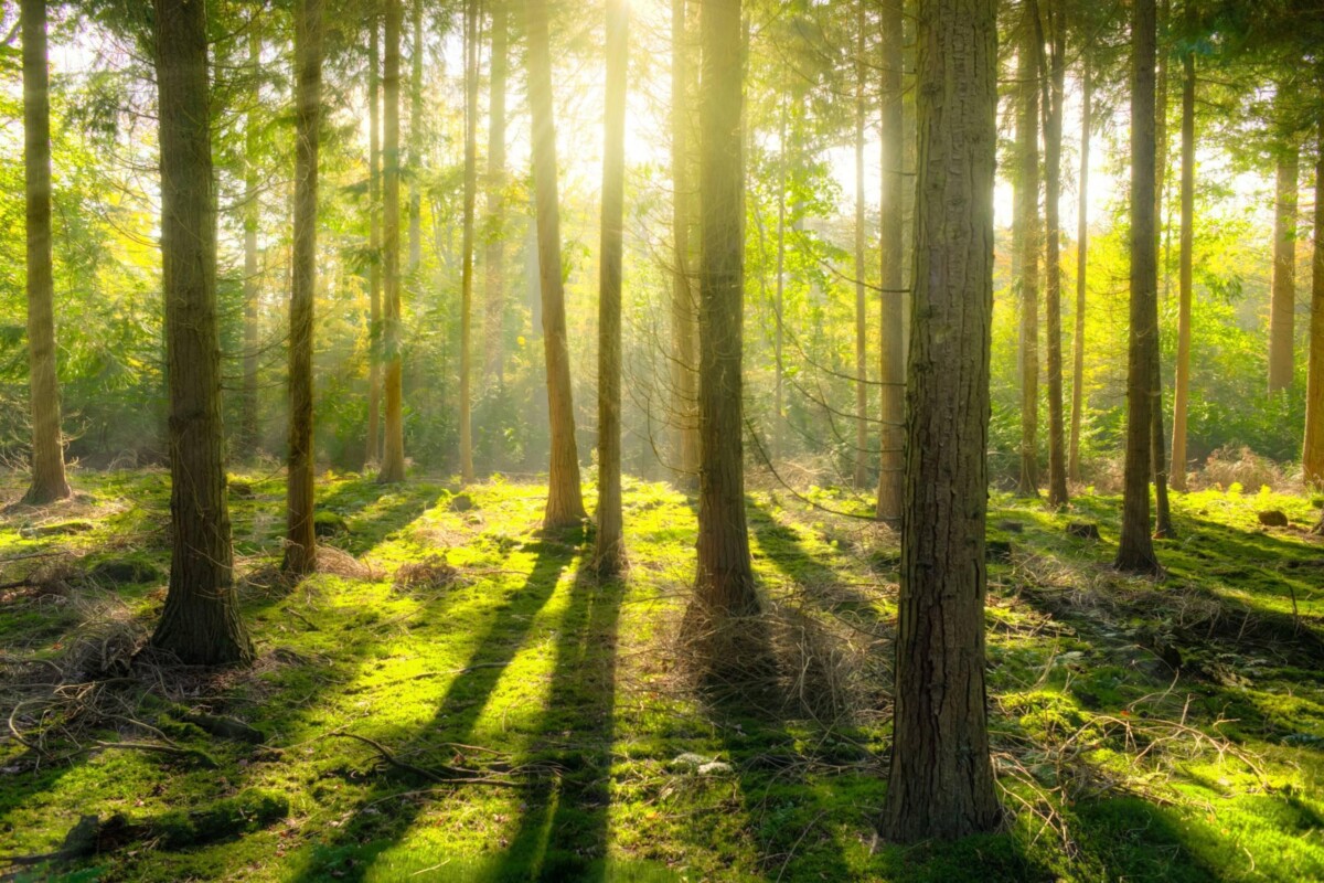 Scopri di più sull'articolo La CaminaCiacolaMagna
