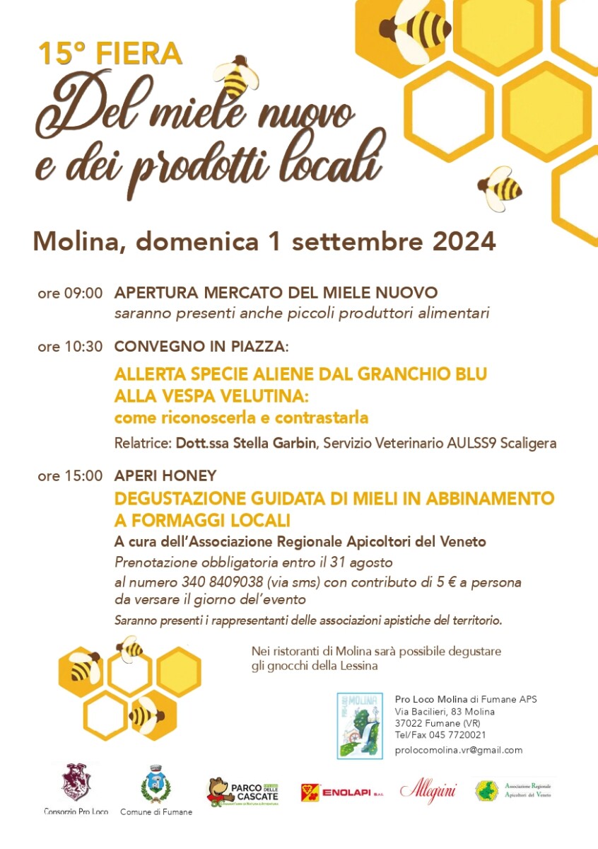 Scopri di più sull'articolo 15^ edizione Fiera del miele nuovo a Molina di Fumane