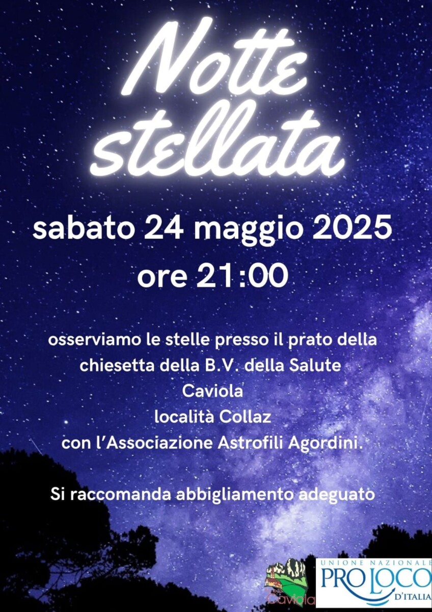Scopri di più sull'articolo Notte stellata