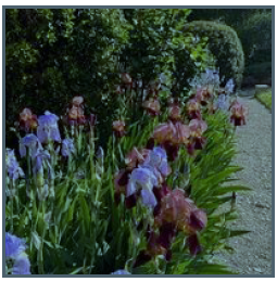 Giardino Gradenigo